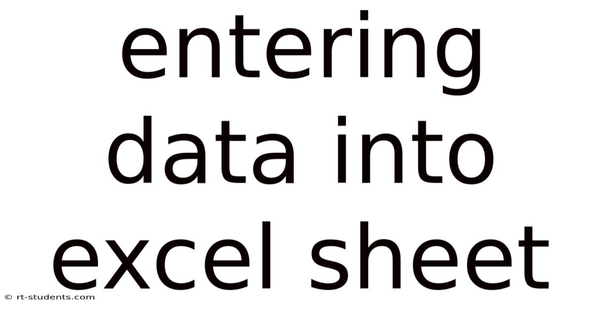 Entering Data Into Excel Sheet