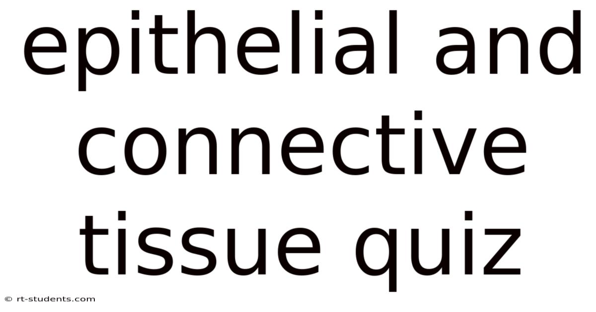 Epithelial And Connective Tissue Quiz