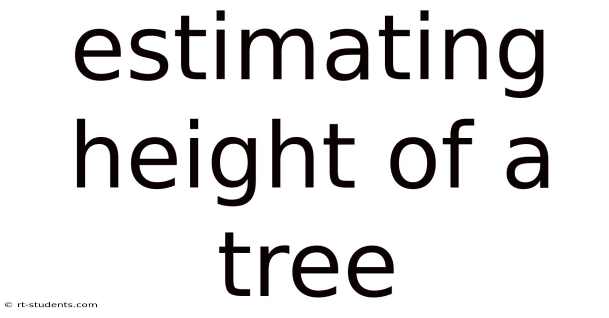 Estimating Height Of A Tree