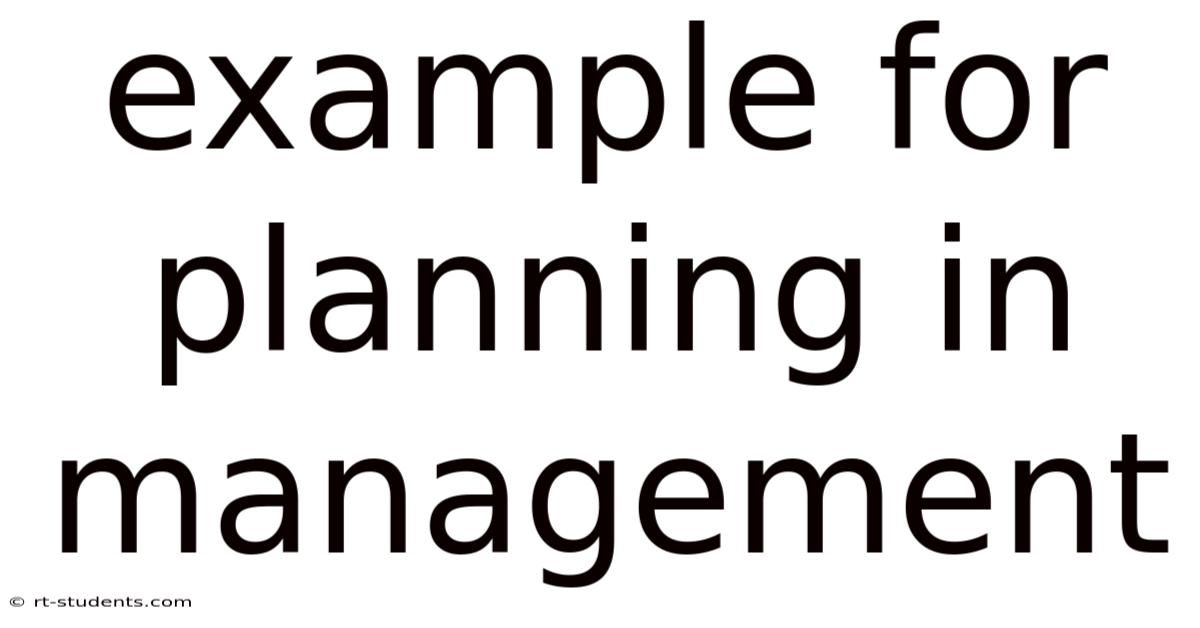 Example For Planning In Management