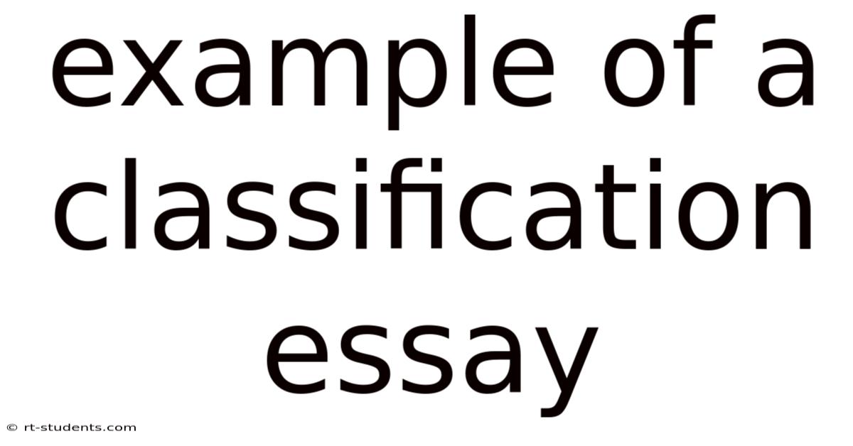 Example Of A Classification Essay