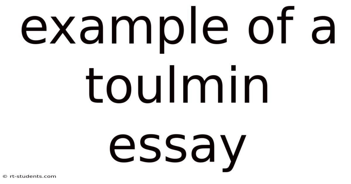 Example Of A Toulmin Essay