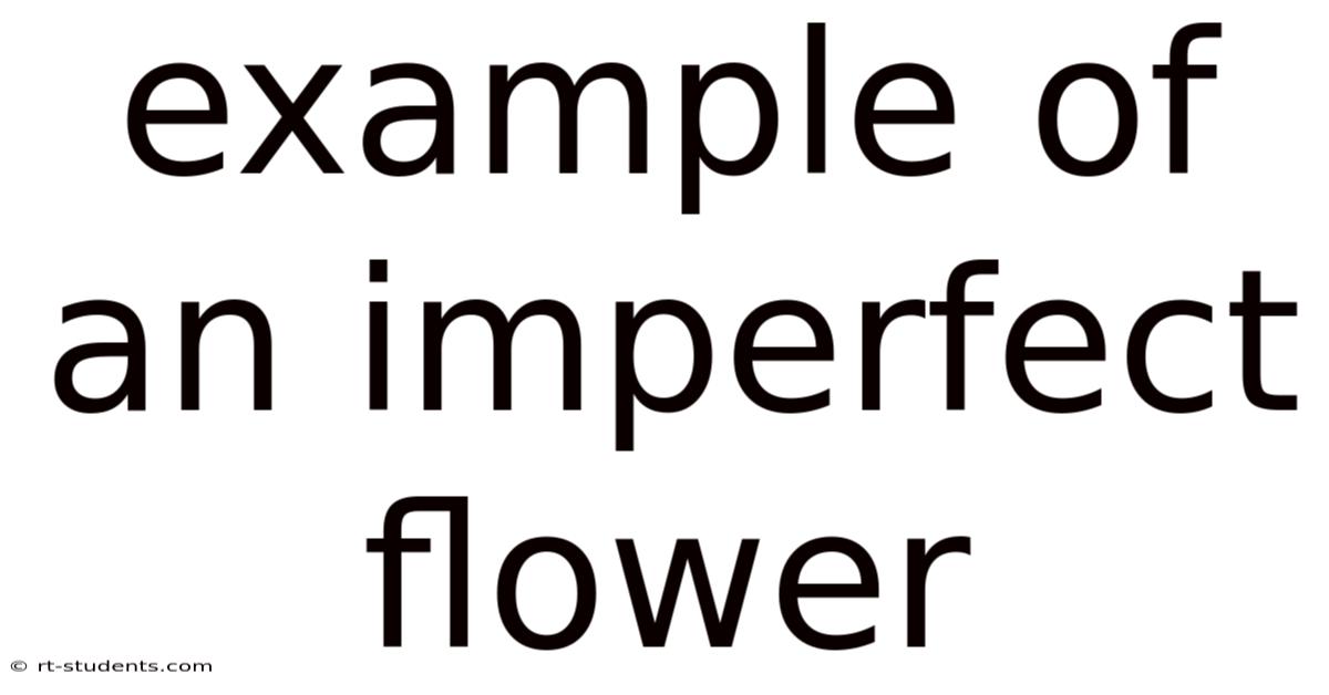 Example Of An Imperfect Flower