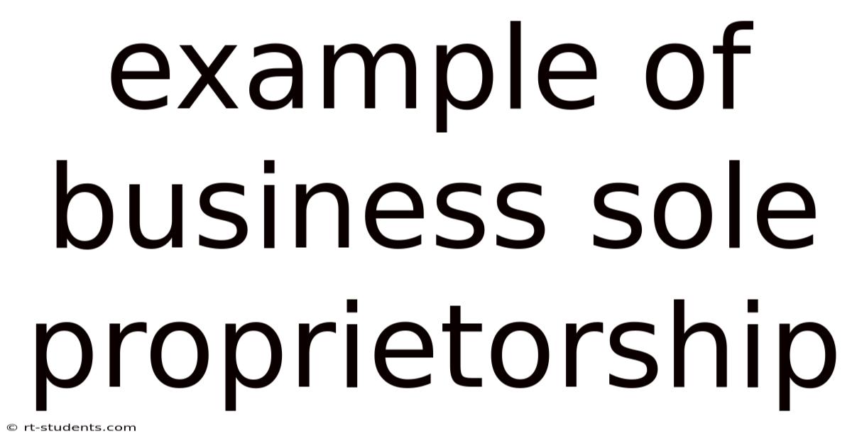 Example Of Business Sole Proprietorship