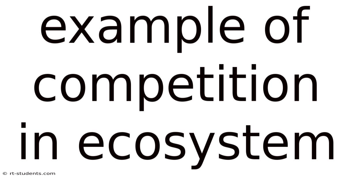 Example Of Competition In Ecosystem
