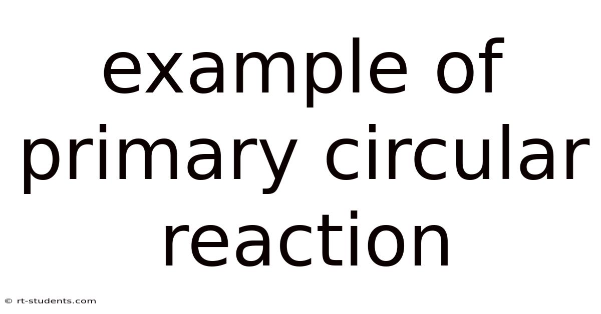 Example Of Primary Circular Reaction