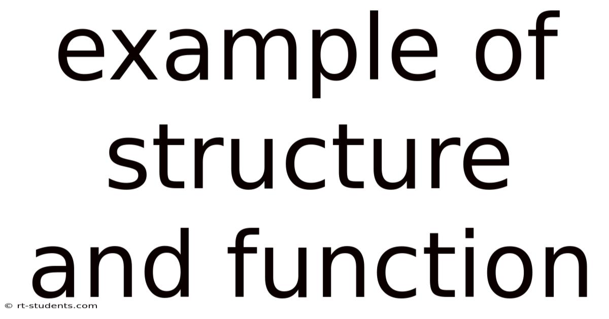 Example Of Structure And Function