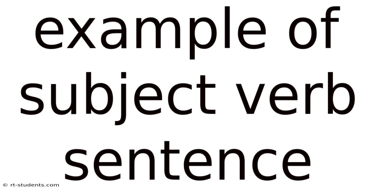 Example Of Subject Verb Sentence