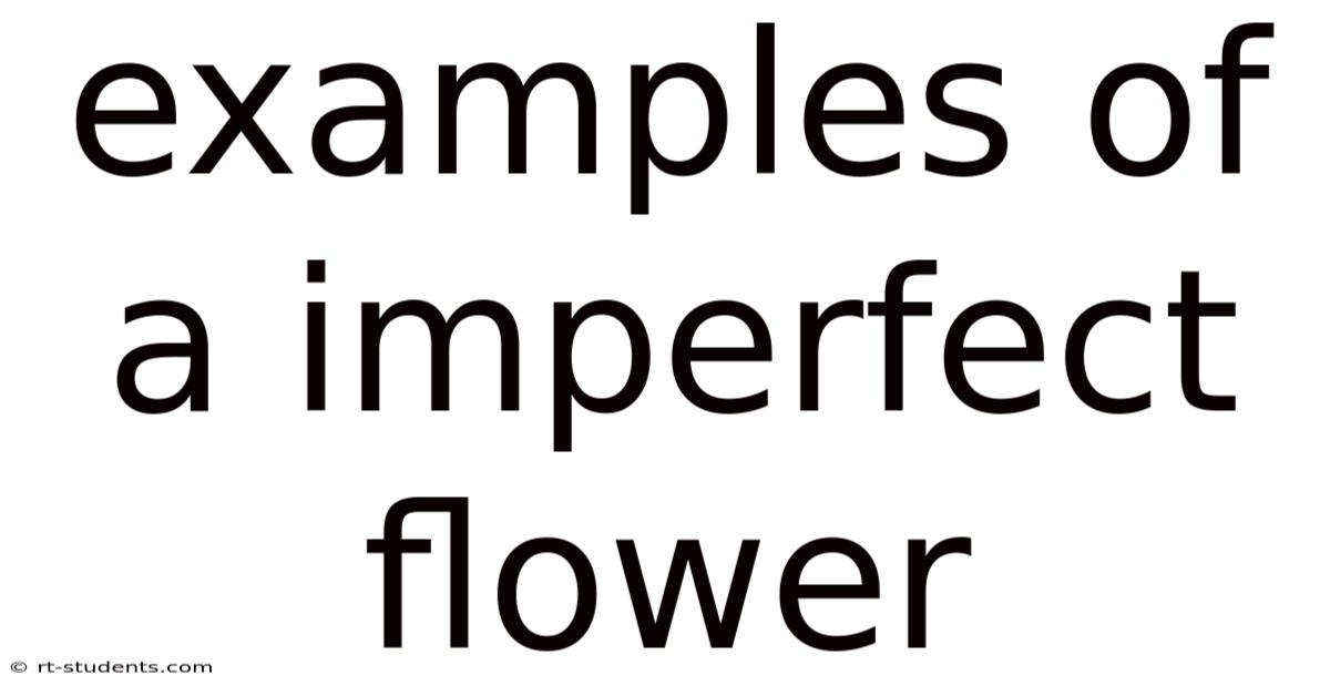 Examples Of A Imperfect Flower