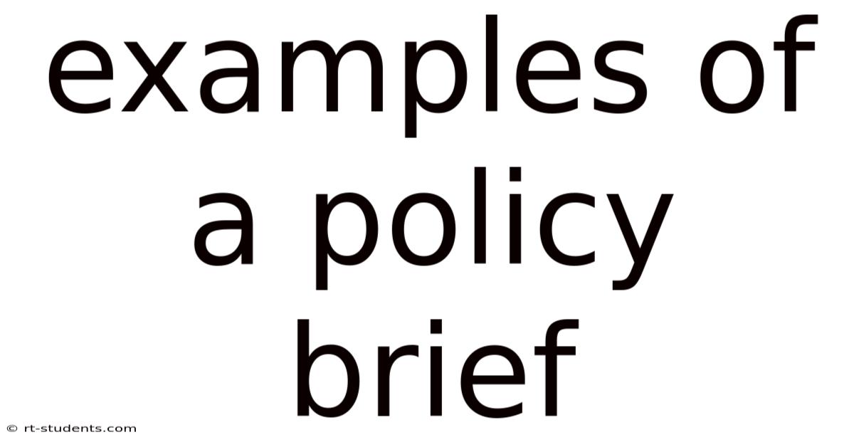 Examples Of A Policy Brief