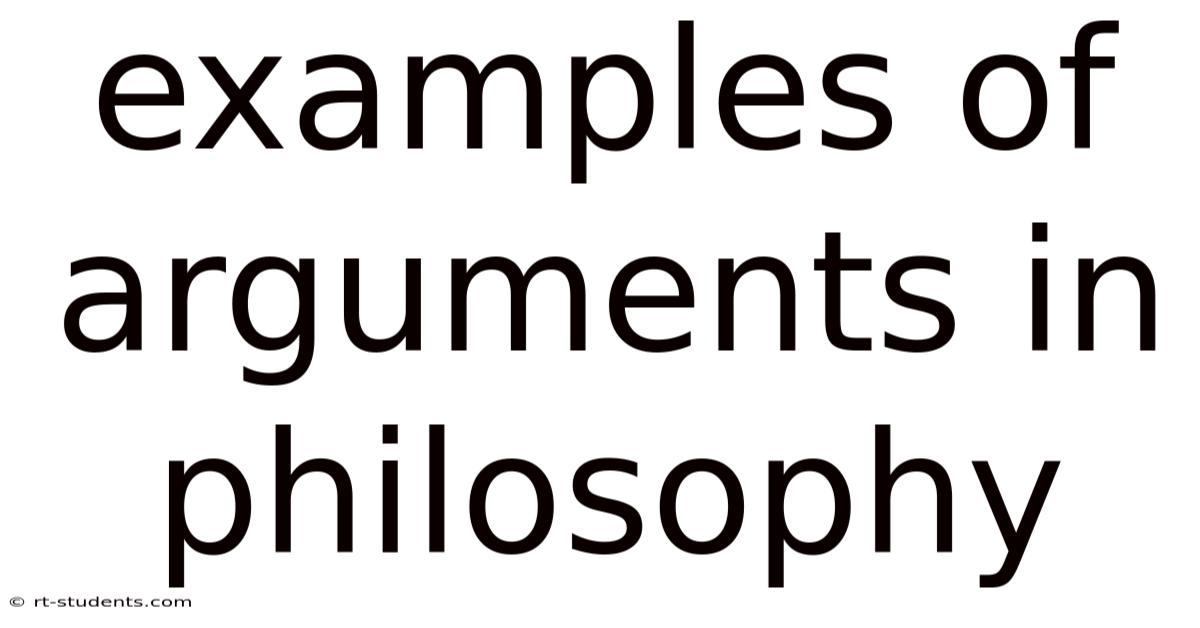 Examples Of Arguments In Philosophy