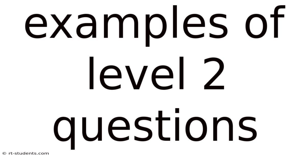 Examples Of Level 2 Questions