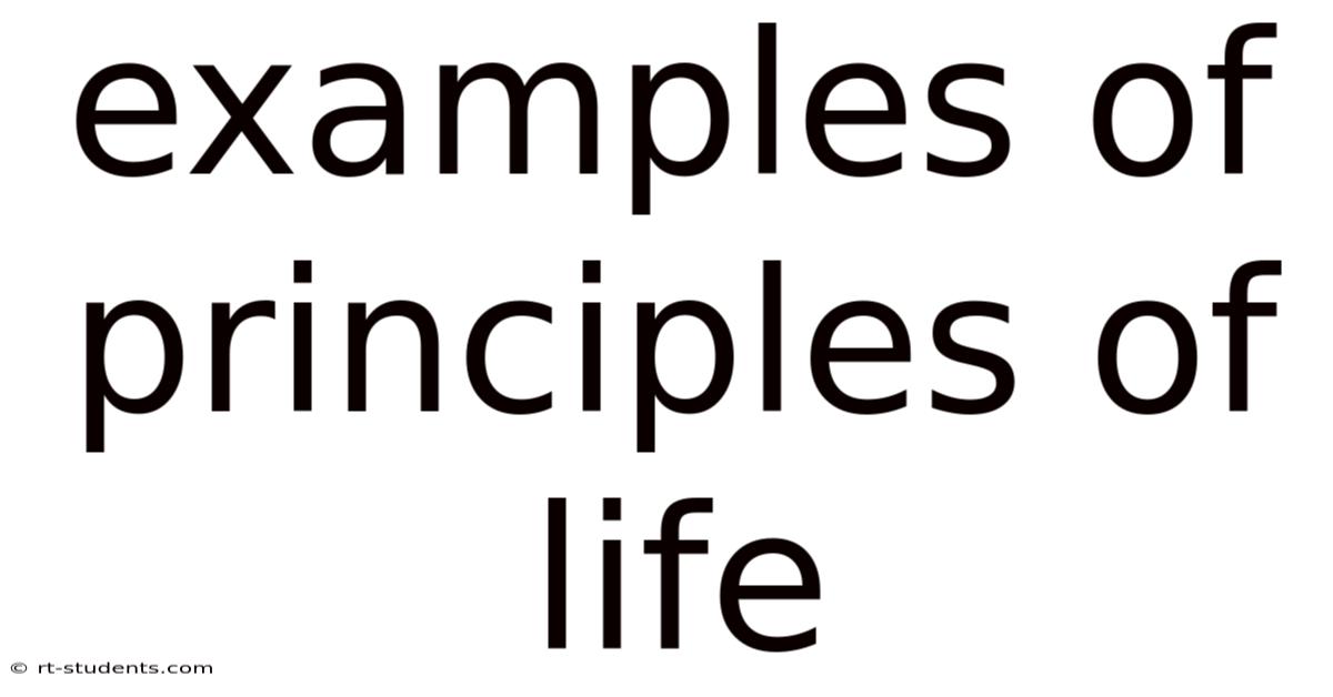 Examples Of Principles Of Life