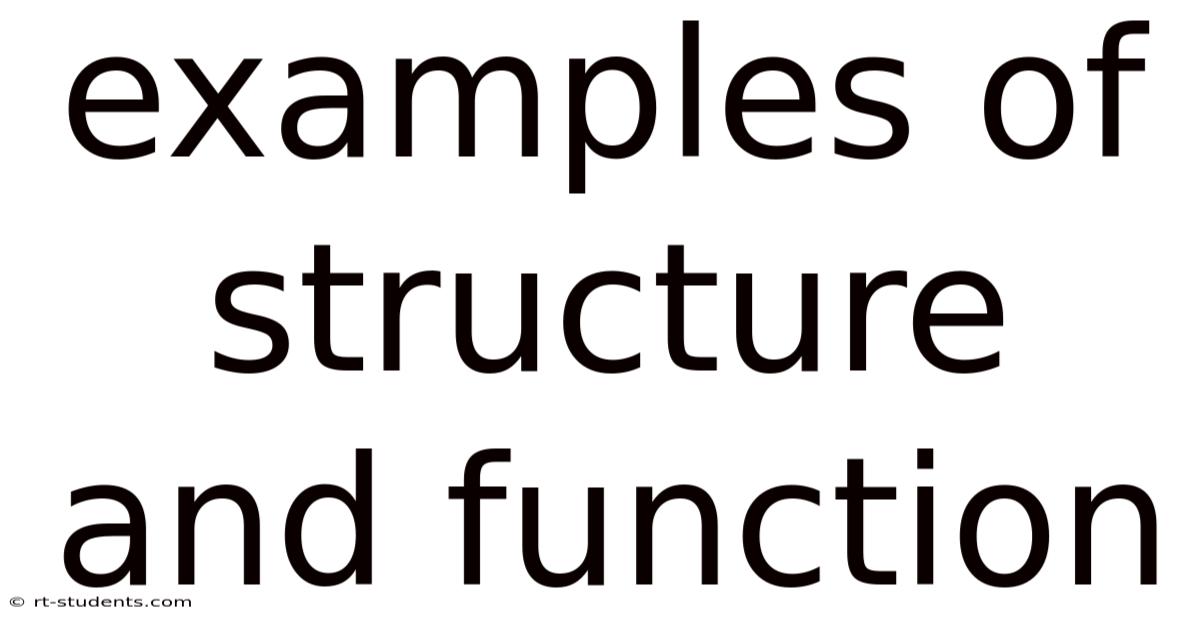 Examples Of Structure And Function