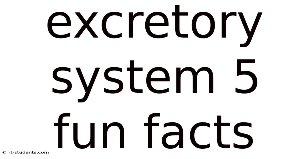 Excretory System 5 Fun Facts