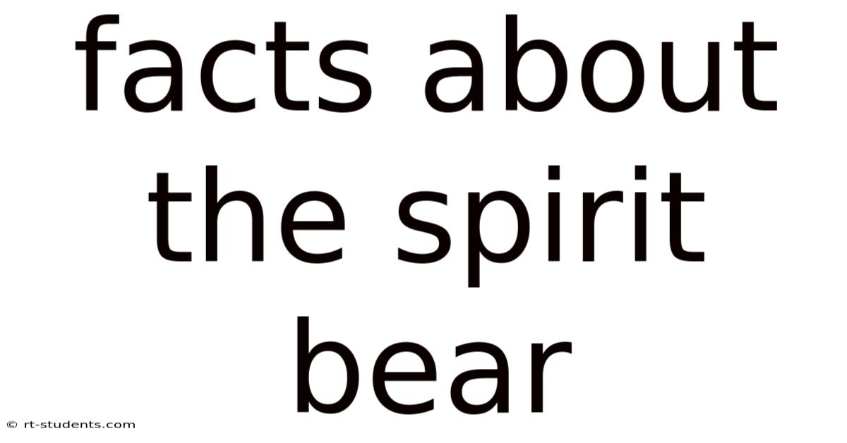 Facts About The Spirit Bear