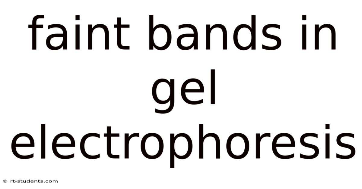 Faint Bands In Gel Electrophoresis