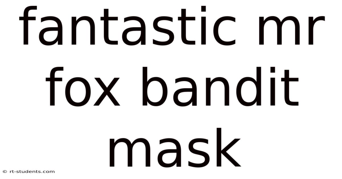 Fantastic Mr Fox Bandit Mask