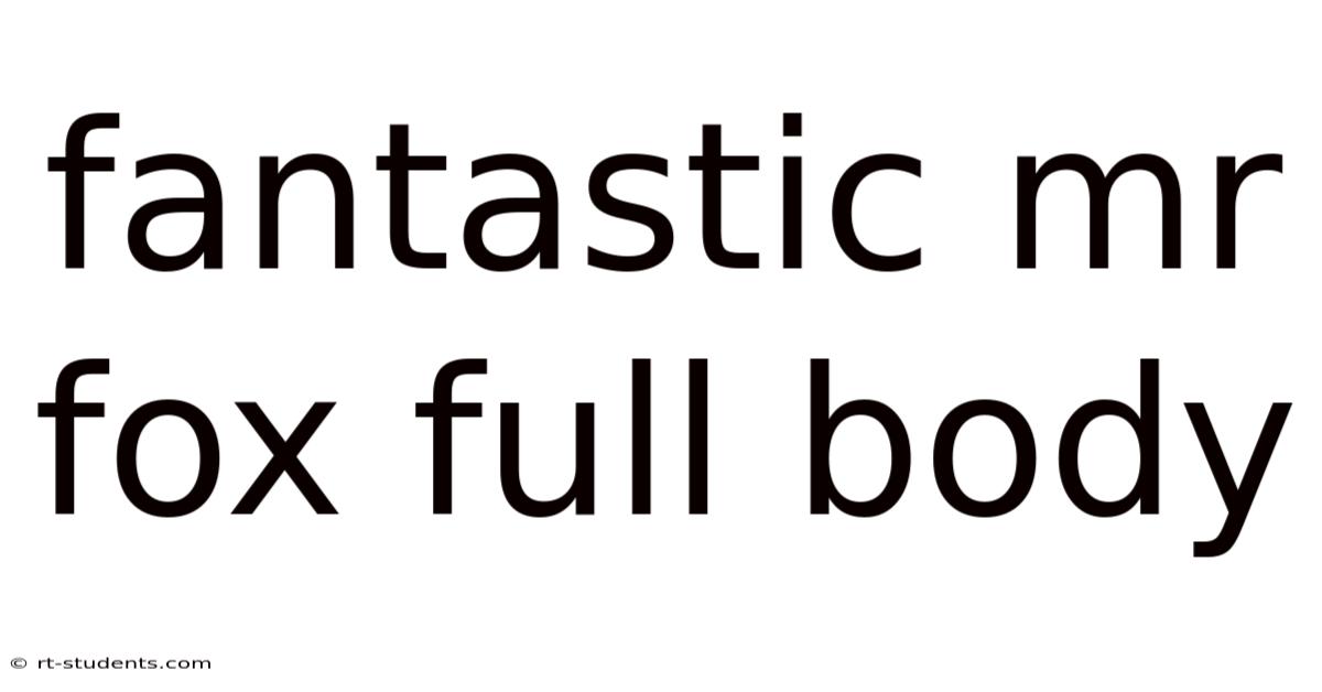 Fantastic Mr Fox Full Body