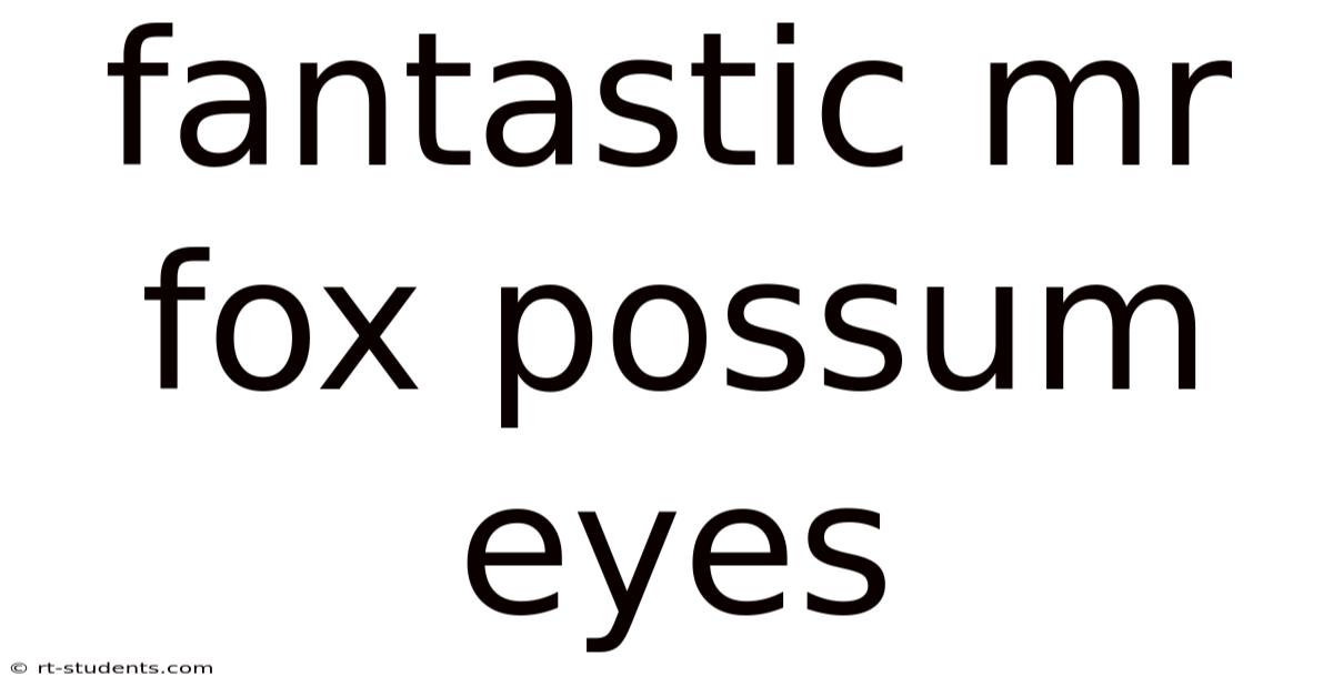 Fantastic Mr Fox Possum Eyes