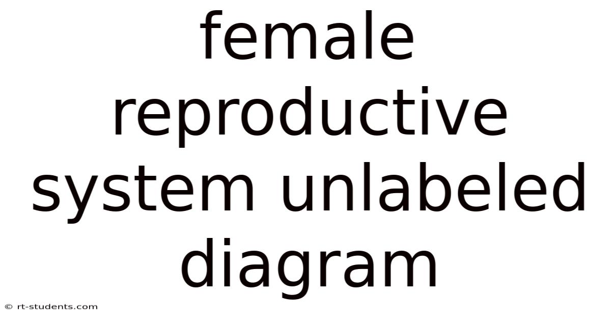 Female Reproductive System Unlabeled Diagram
