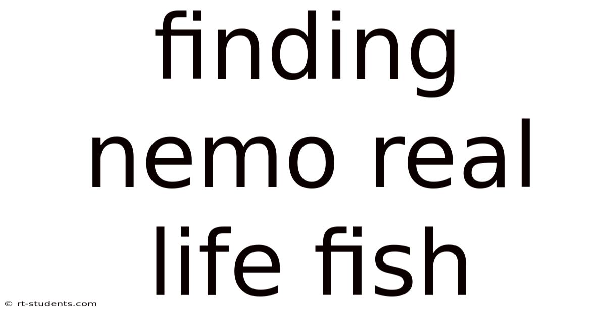 Finding Nemo Real Life Fish