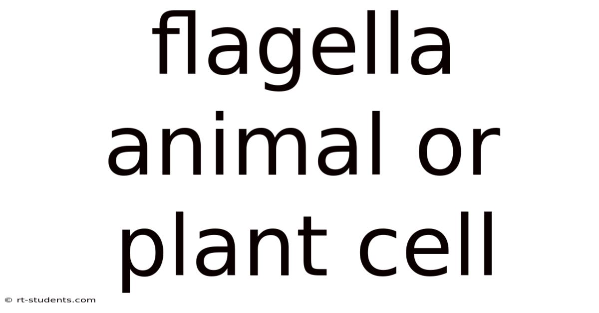 Flagella Animal Or Plant Cell