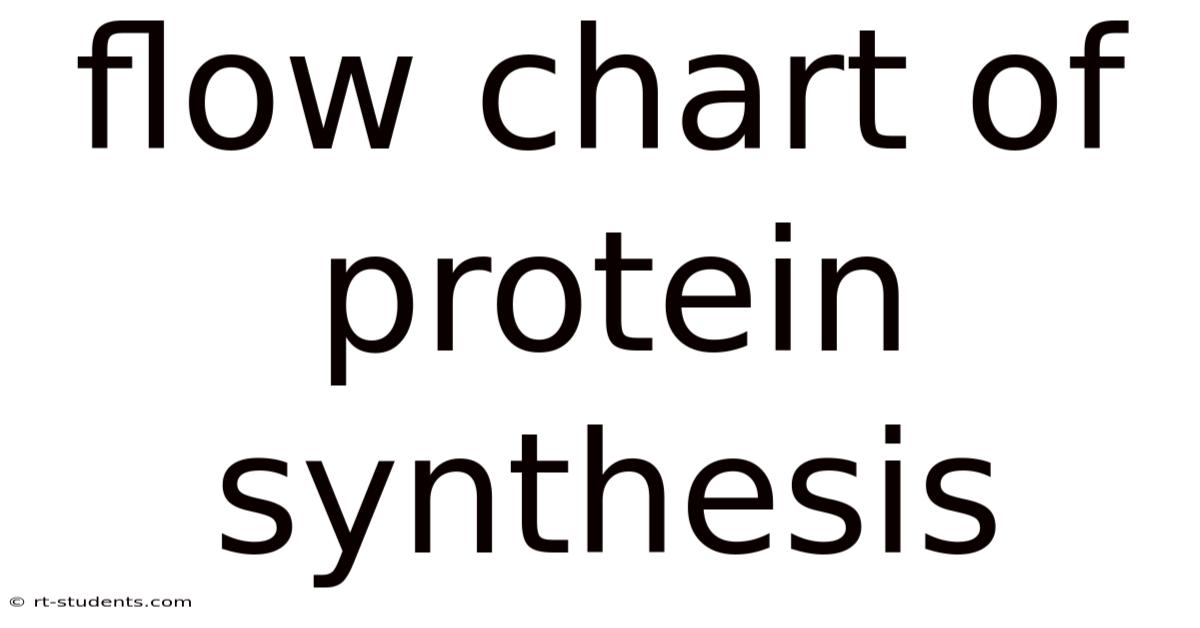 Flow Chart Of Protein Synthesis