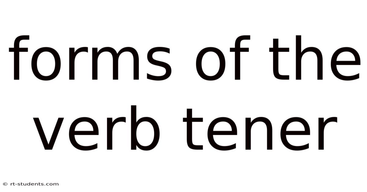 Forms Of The Verb Tener