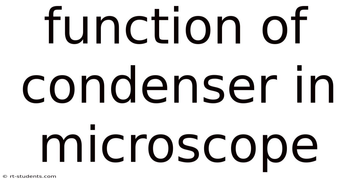 Function Of Condenser In Microscope
