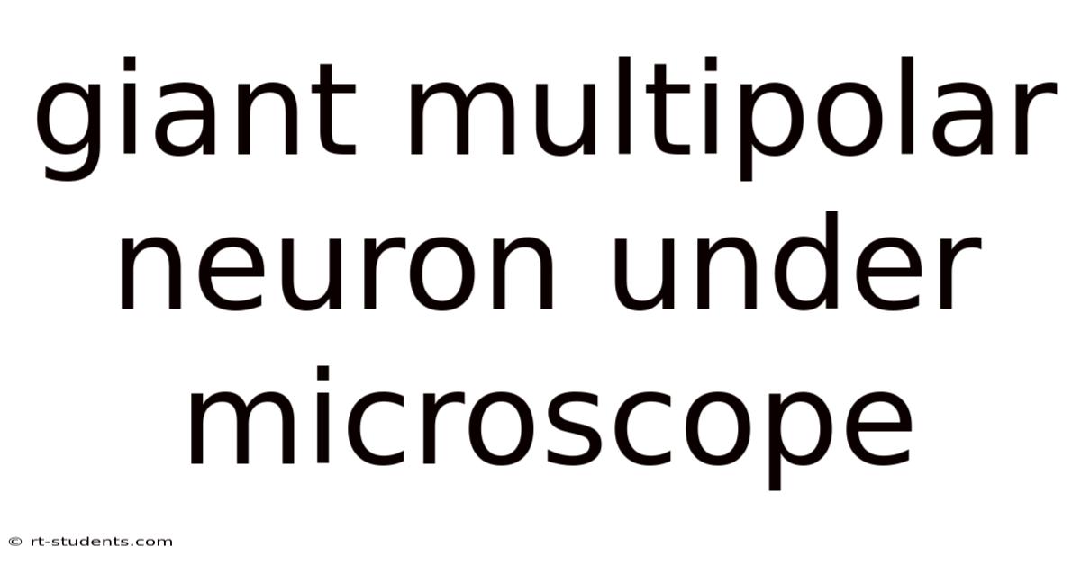 Giant Multipolar Neuron Under Microscope