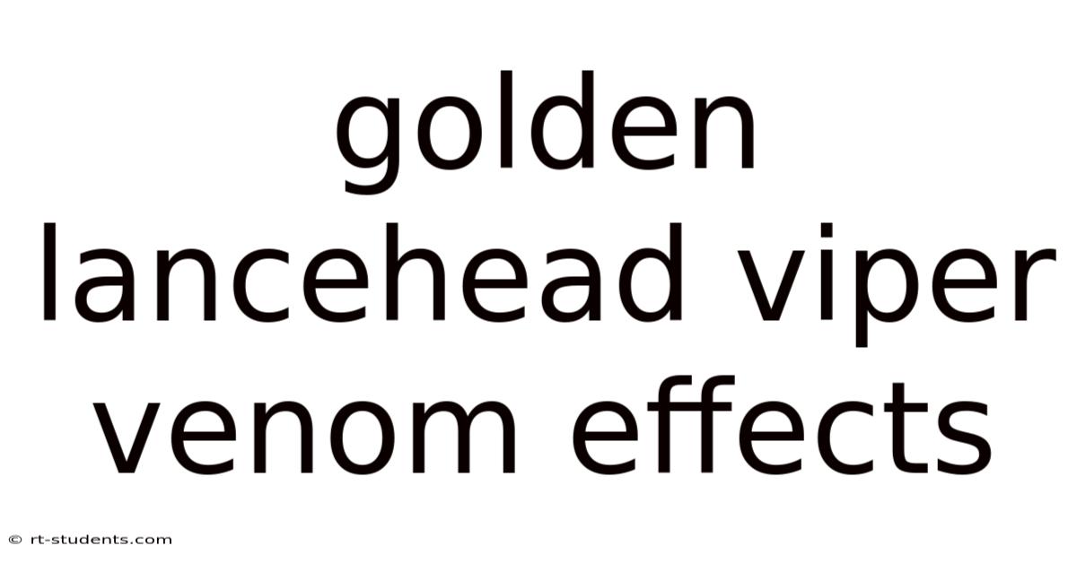 Golden Lancehead Viper Venom Effects