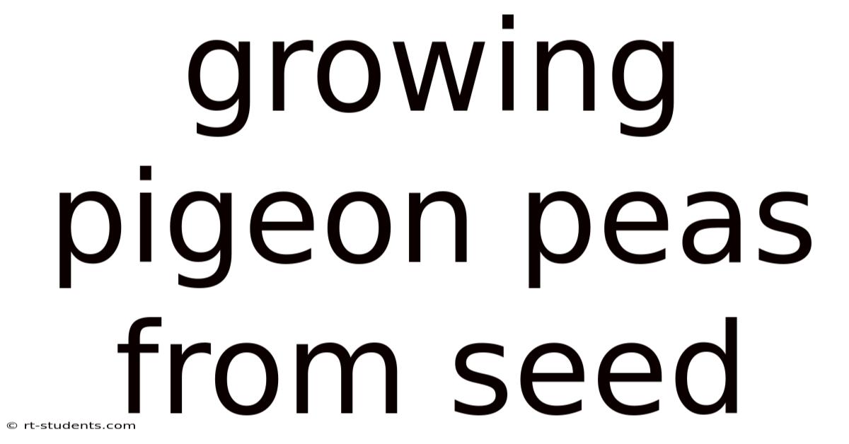 Growing Pigeon Peas From Seed