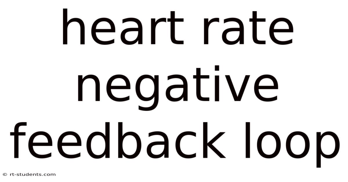Heart Rate Negative Feedback Loop