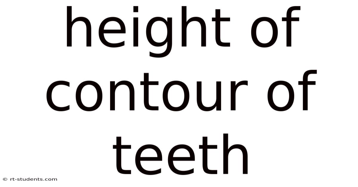 Height Of Contour Of Teeth