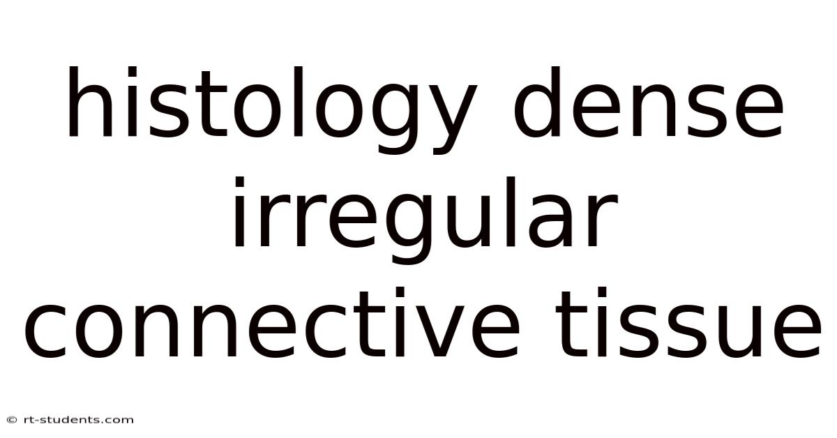 Histology Dense Irregular Connective Tissue