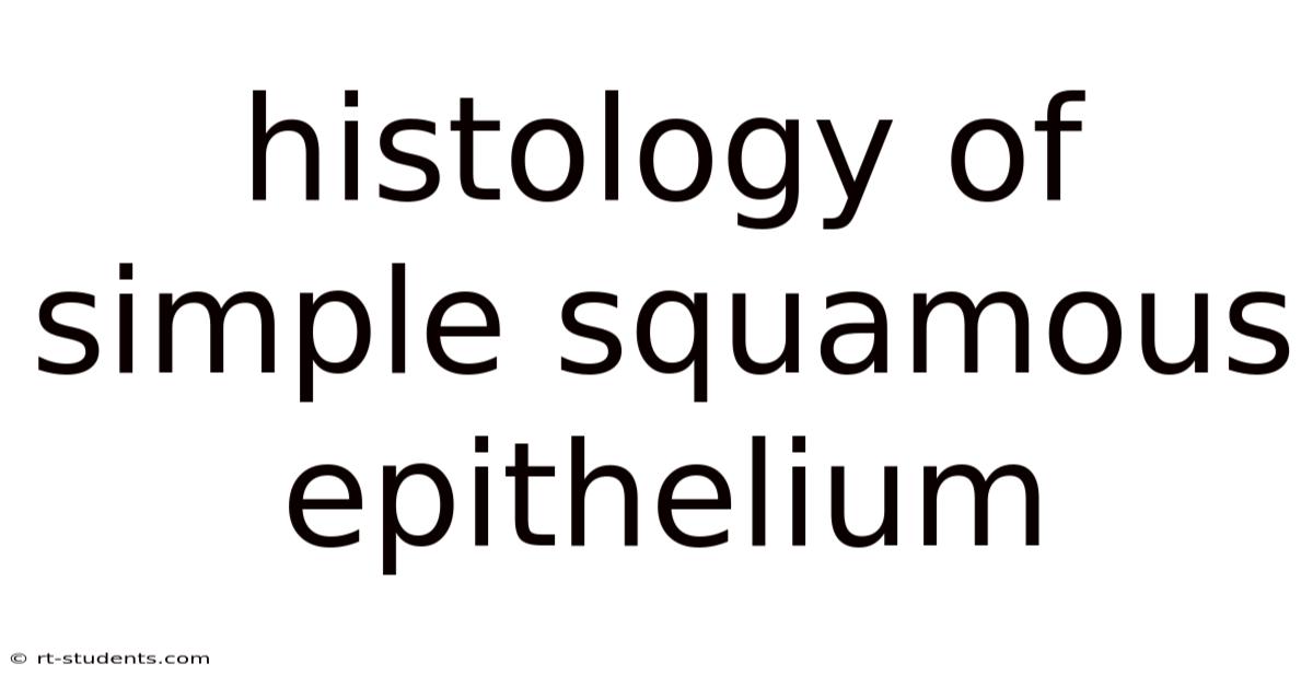 Histology Of Simple Squamous Epithelium