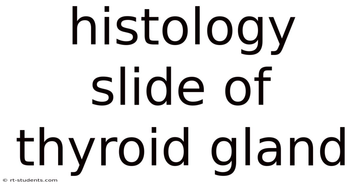 Histology Slide Of Thyroid Gland