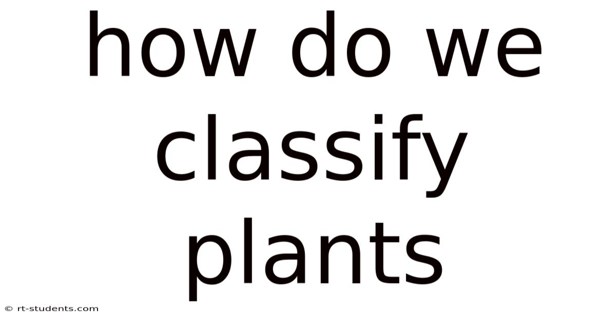 How Do We Classify Plants