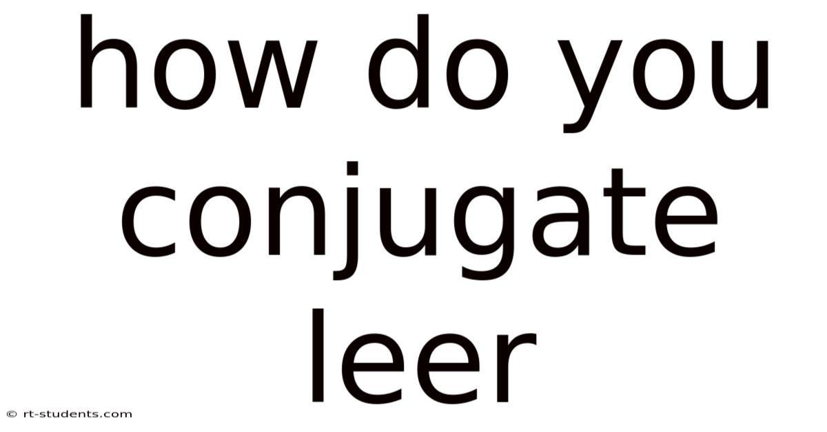 How Do You Conjugate Leer