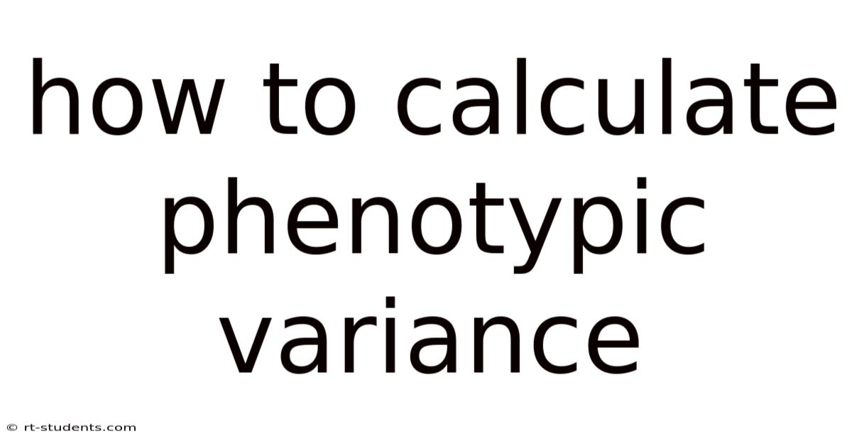 How To Calculate Phenotypic Variance