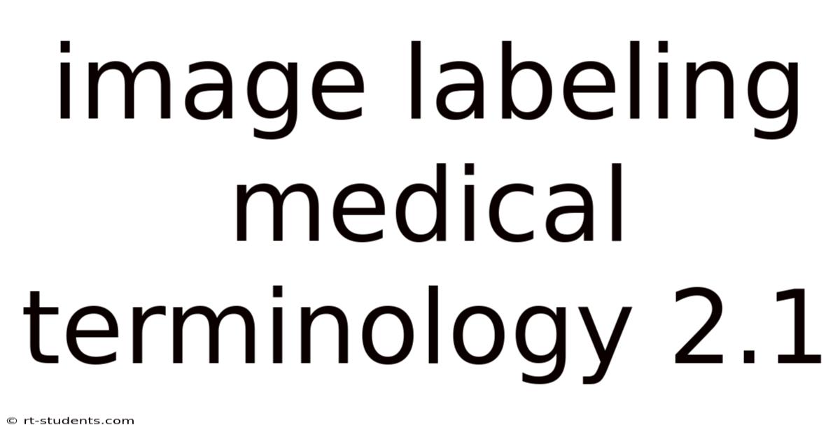 Image Labeling Medical Terminology 2.1