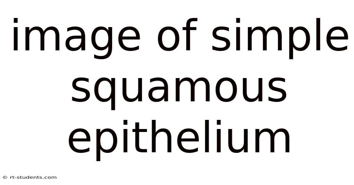 Image Of Simple Squamous Epithelium