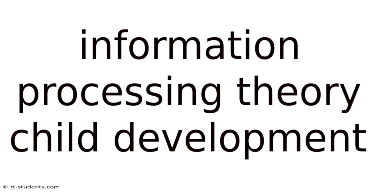 Information Processing Theory Child Development