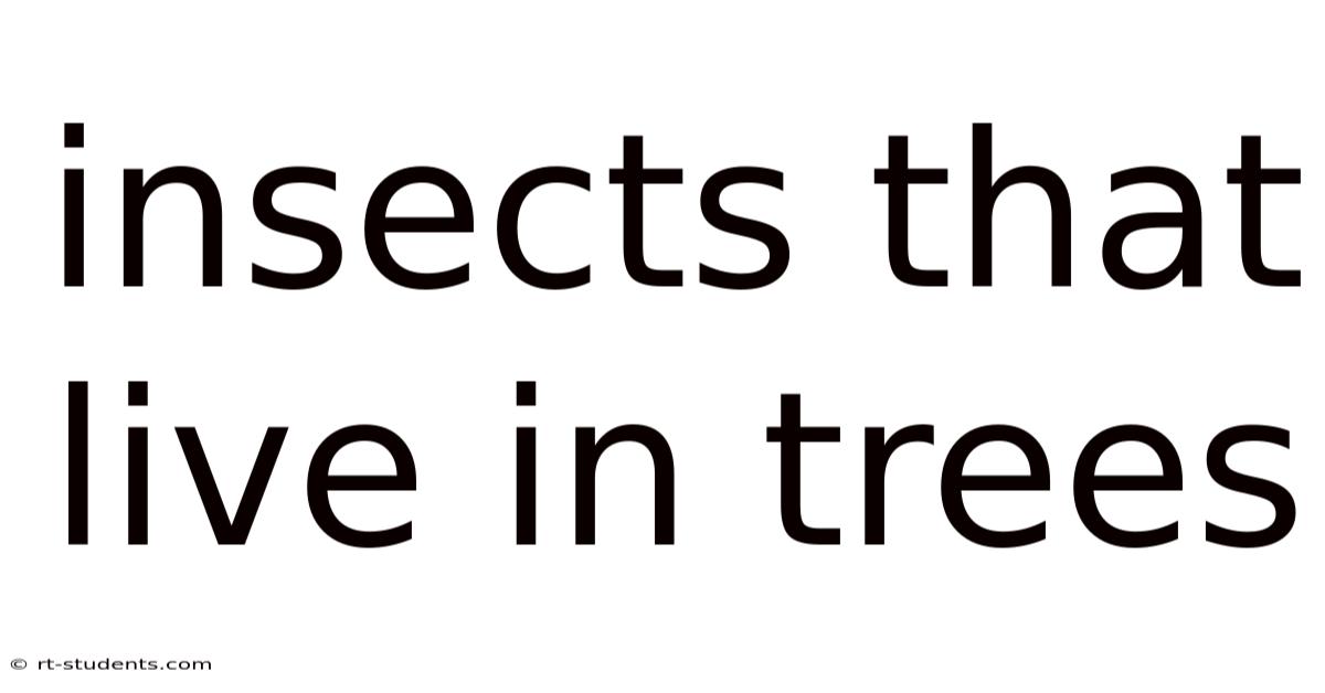 Insects That Live In Trees