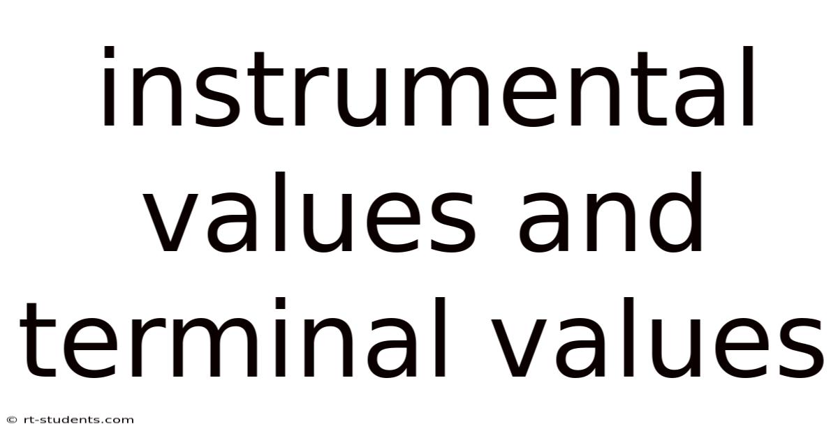 Instrumental Values And Terminal Values