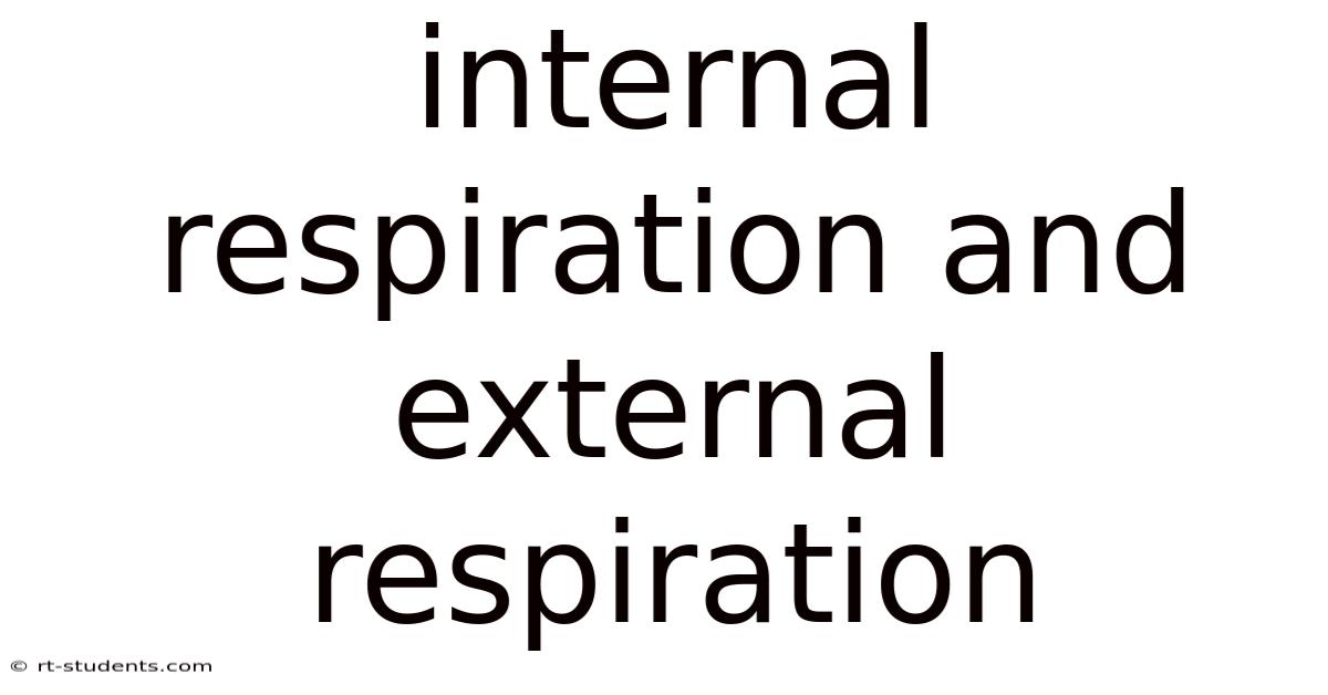 Internal Respiration And External Respiration