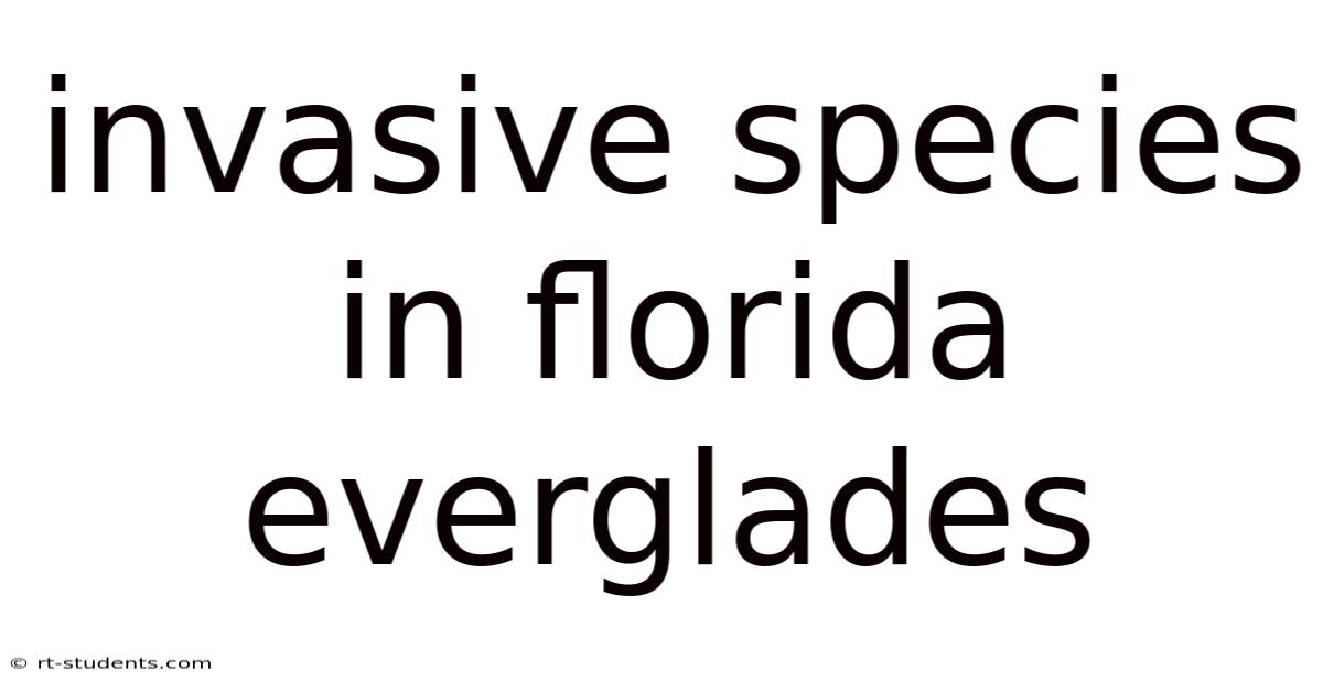 Invasive Species In Florida Everglades