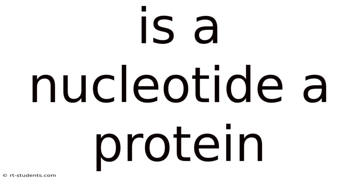 Is A Nucleotide A Protein