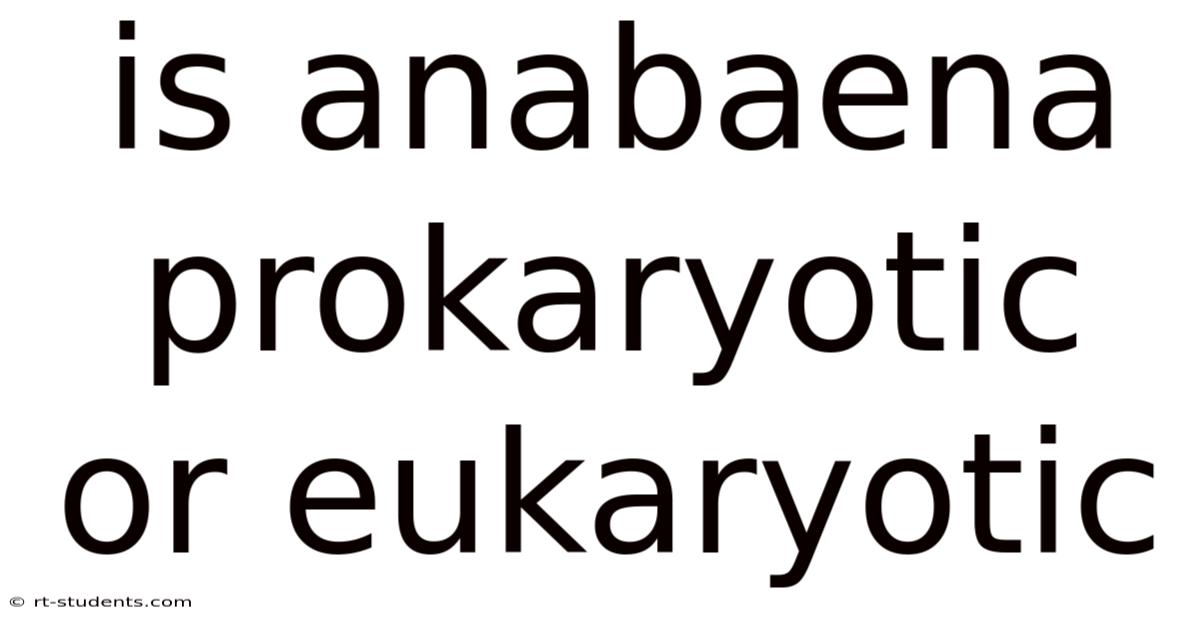 Is Anabaena Prokaryotic Or Eukaryotic